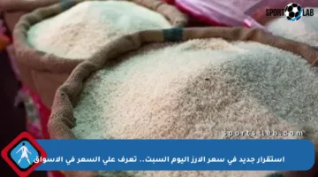 استقرار جديد في سعر الأرز اليوم السبت.. تعرف على السعر في الأسواق